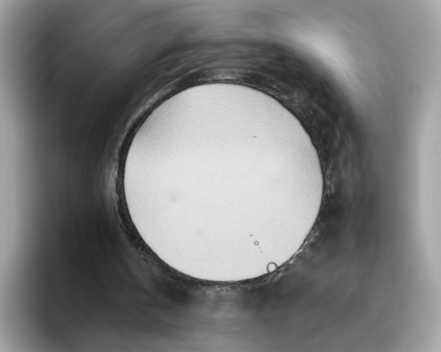 X0000094770146200711301533