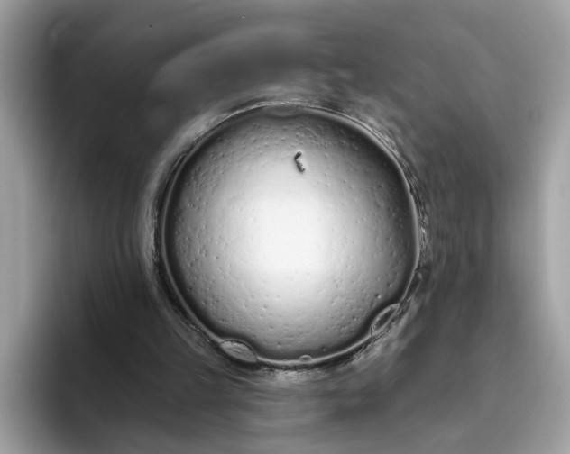 X0000094770149200711301533