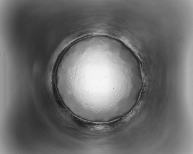 X0000094770151200711301533