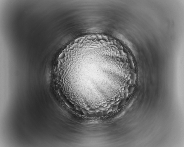 X0000094770153200711301533