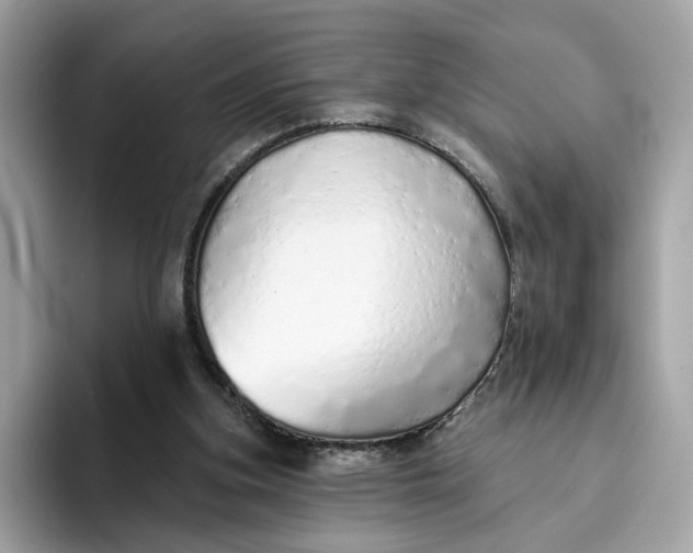 X0000094770155200711301533