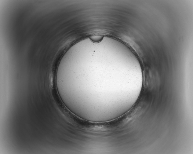 X0000094770157200711301533