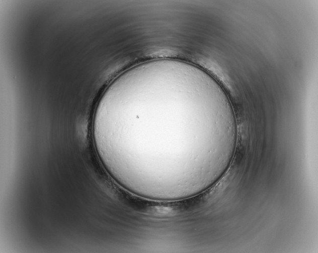 X0000094770159200711301533