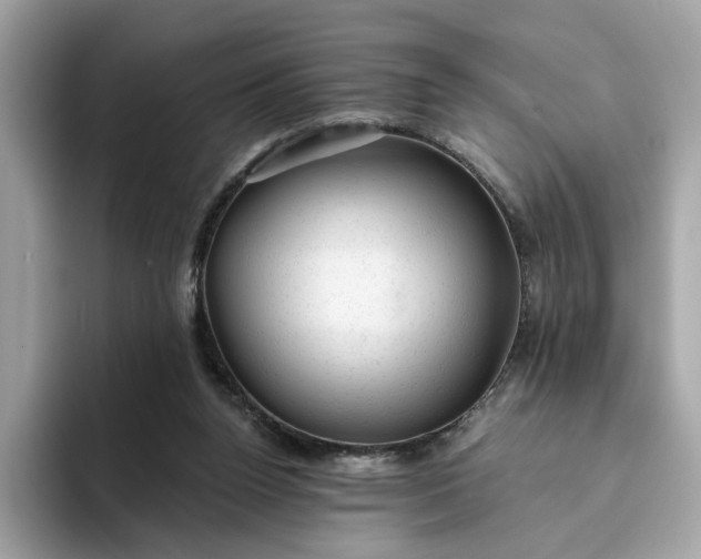 X0000094770160200711301533