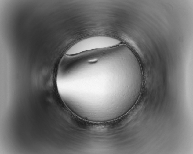 X0000094770161200711301533