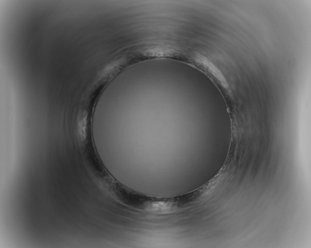 X0000094770163200711301533