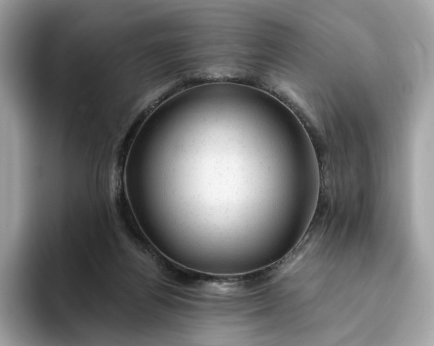 X0000094770164200711301533