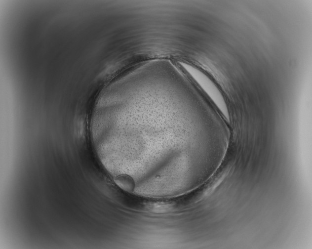 X0000094770165200711301533