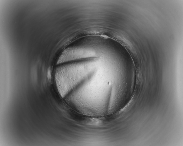 X0000094770166200711301533