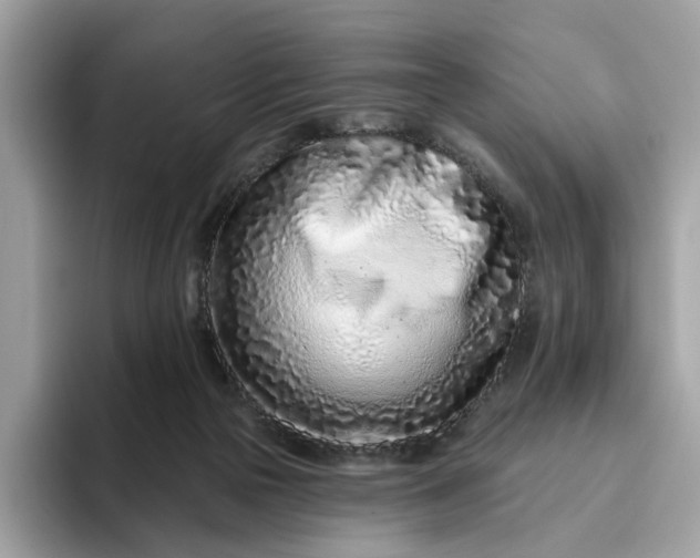 X0000094770169200711301533