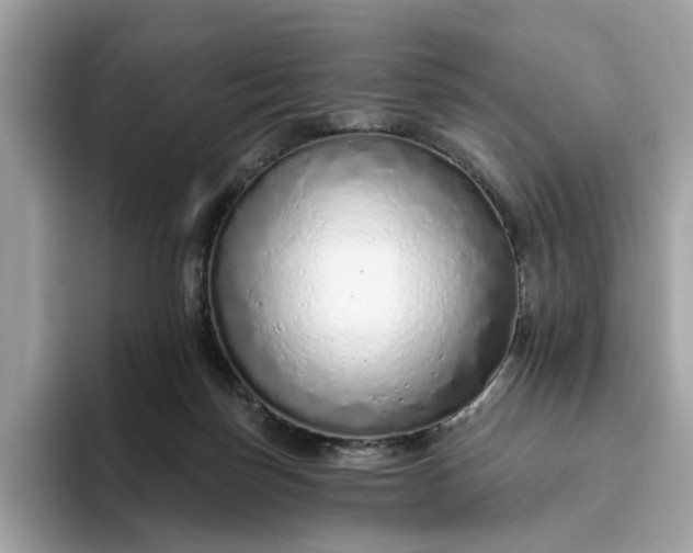 X0000094770171200711301533