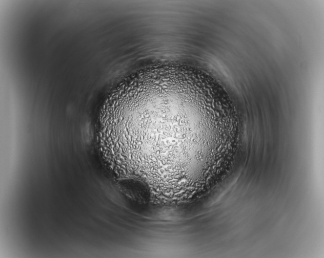 X0000094770173200711301533