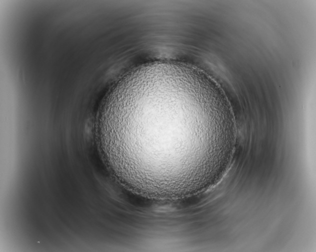 X0000094770175200711301533