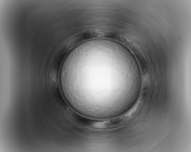 X0000094770178200711301533