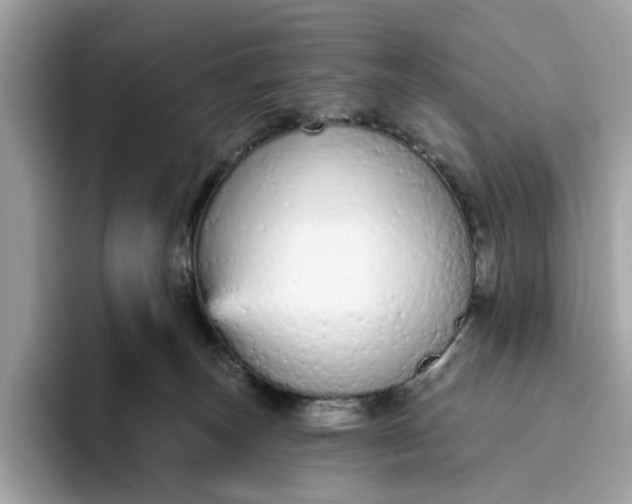 X0000094770179200711301533