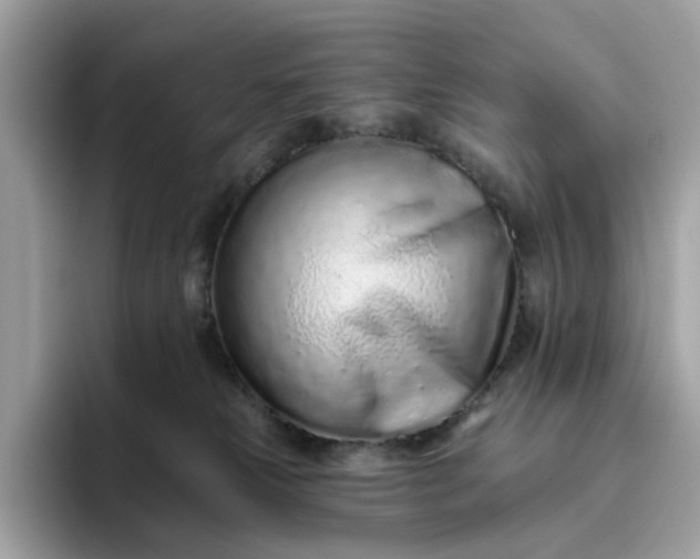 X0000094770181200711301533