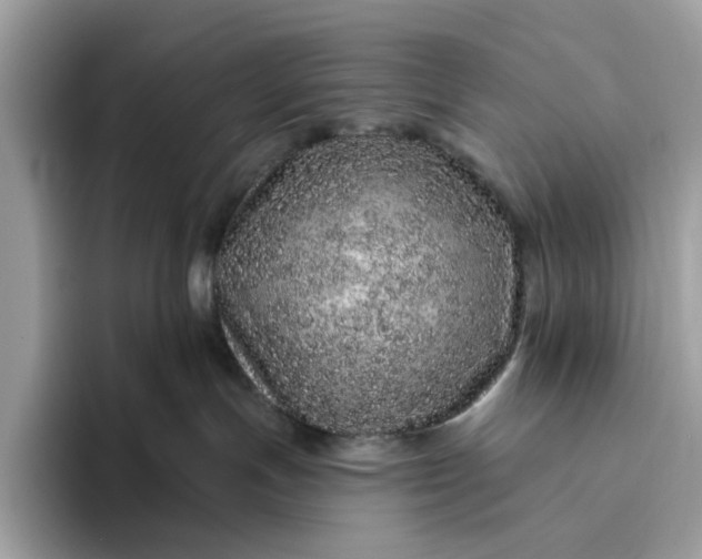 X0000094770191200711301533