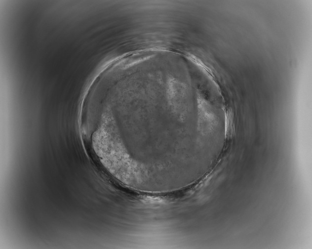 X0000094770195200711301533