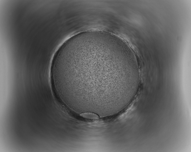 X0000094770196200711301533