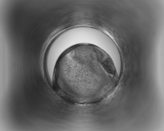 X0000094770199200711301533