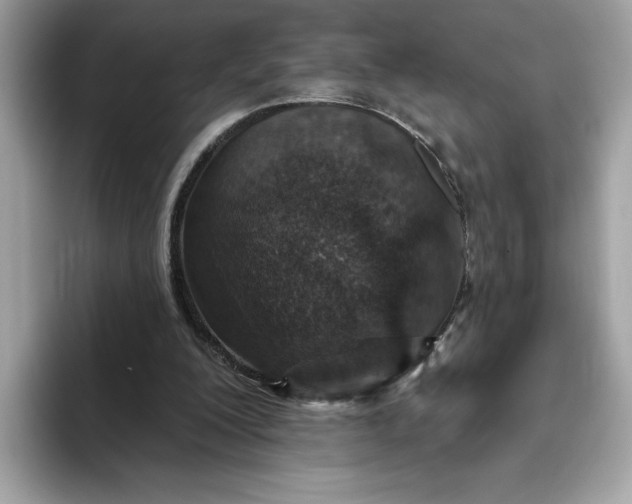 X0000094770200200711301533