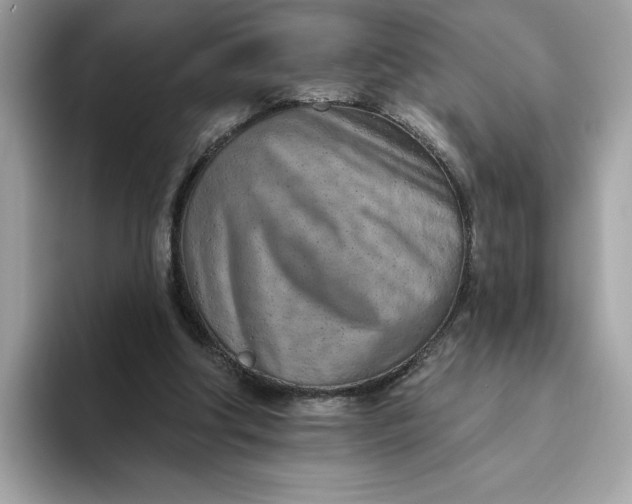 X0000094770202200711301533