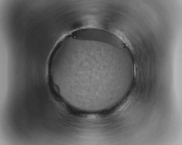 X0000094770204200711301533