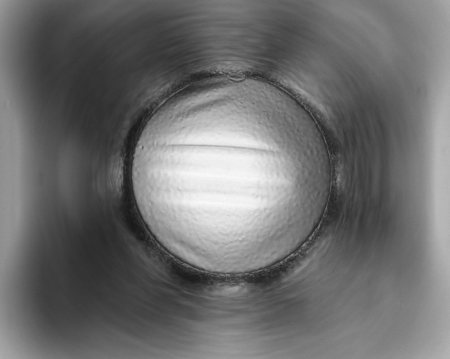 X0000094770206200711301533