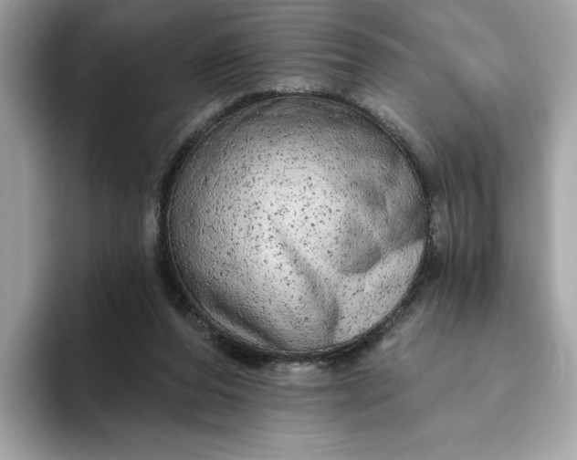 X0000094770208200711301533