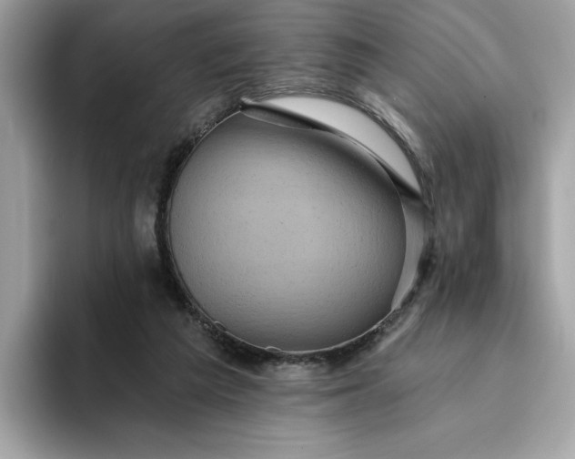 X0000094770209200711301533