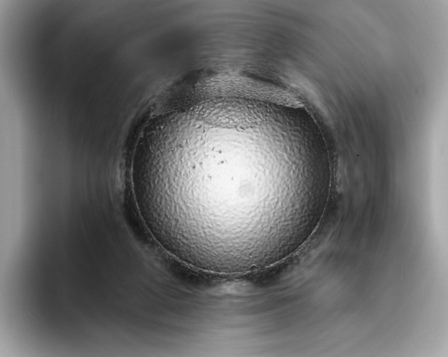 X0000094770210200711301533