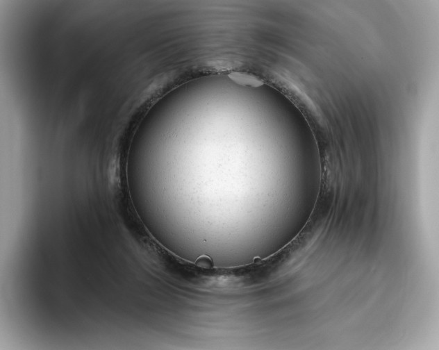 X0000094770212200711301532