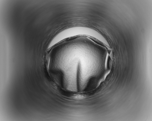 X0000094770218200711301532