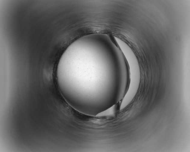 X0000094770221200711301532