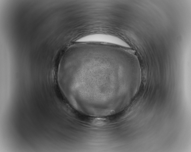 X0000094770222200711301532