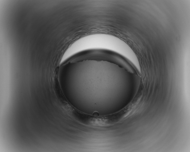 X0000094770223200711301532