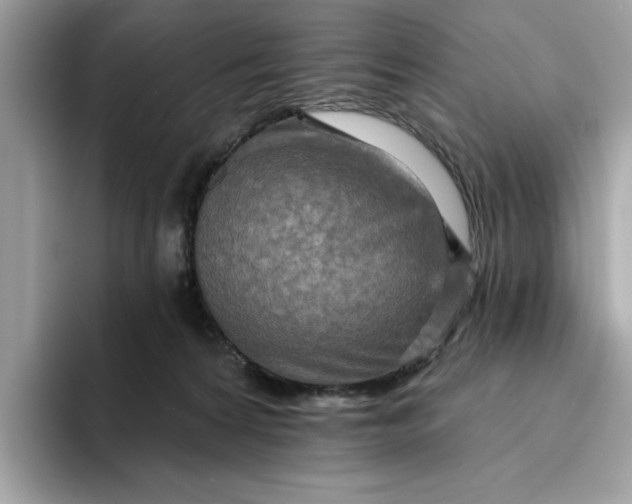 X0000094770224200711301532