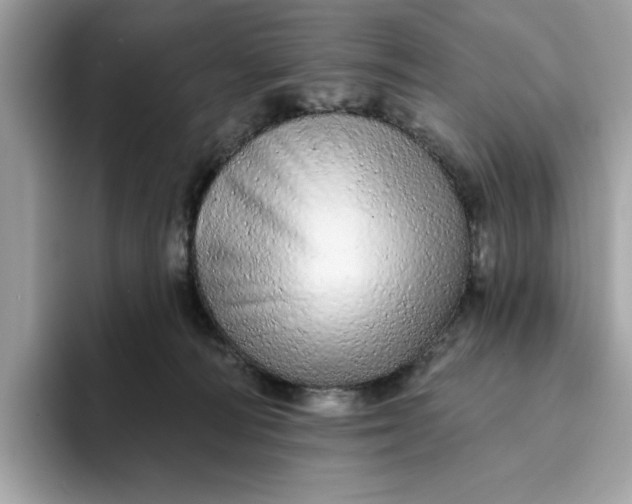 X0000094770226200711301532