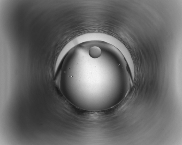 X0000094770229200711301532