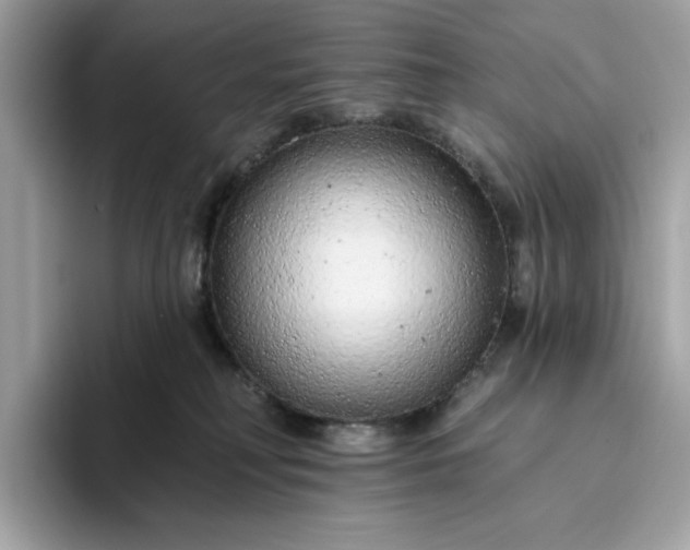 X0000094770230200711301532