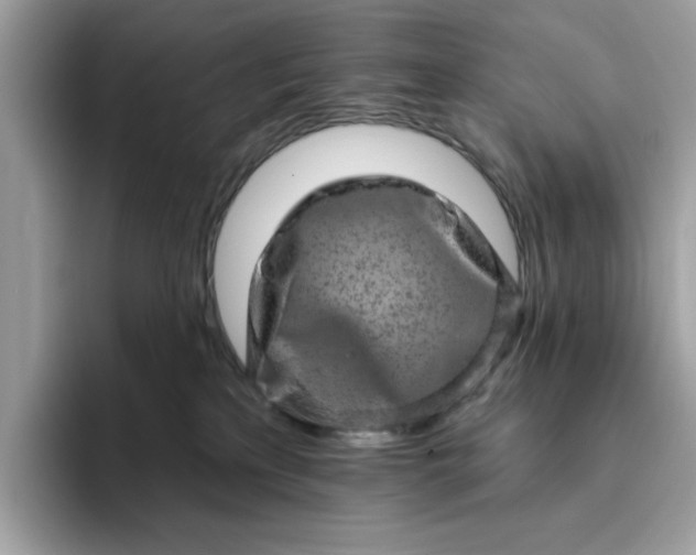 X0000094770233200711301532