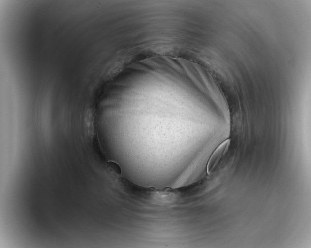 X0000094770234200711301532