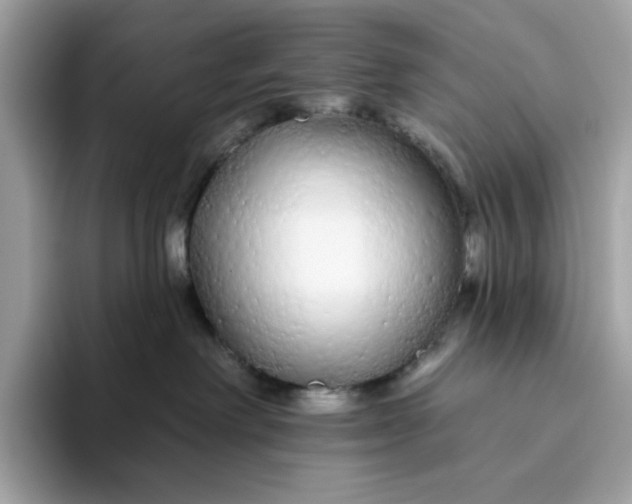 X0000094770238200711301532