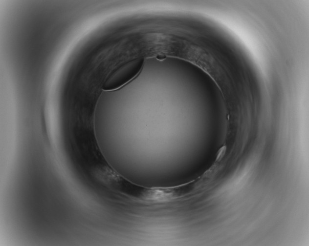 X0000094770239200711301532