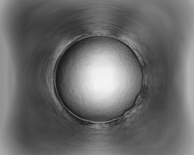 X0000094770241200711301531