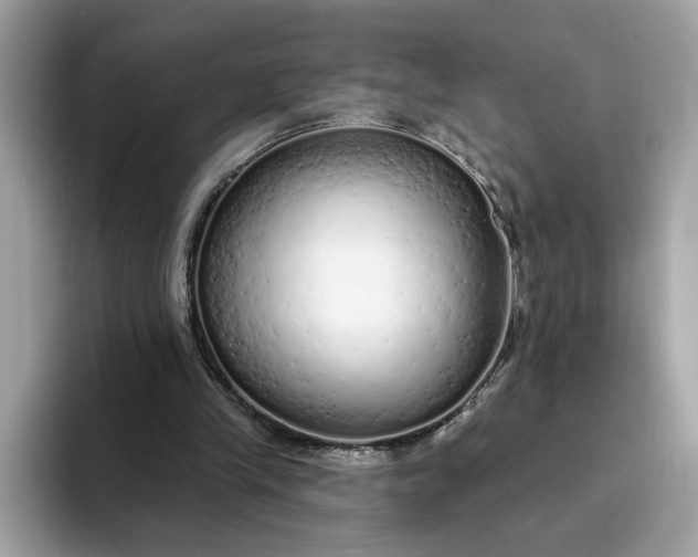 X0000094770245200711301532