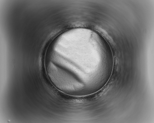 X0000094770250200711301532