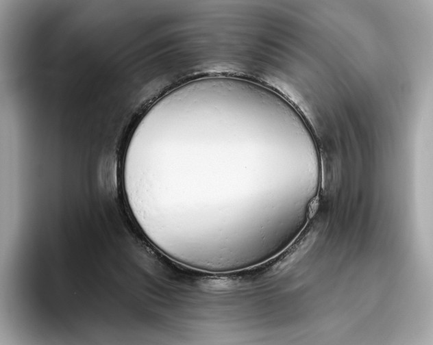 X0000094770253200711301532