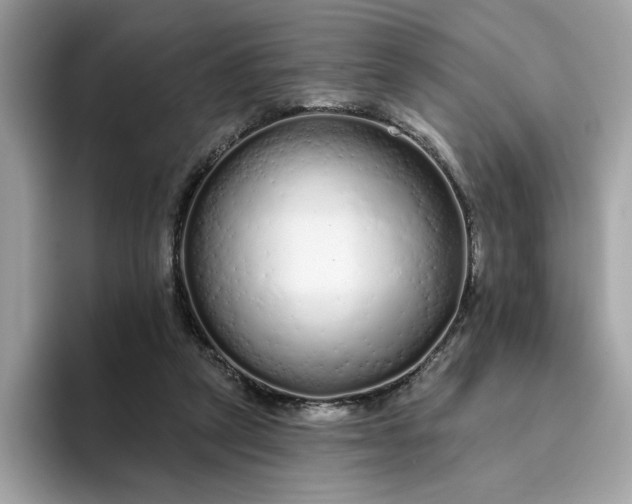 X0000094770257200711301532