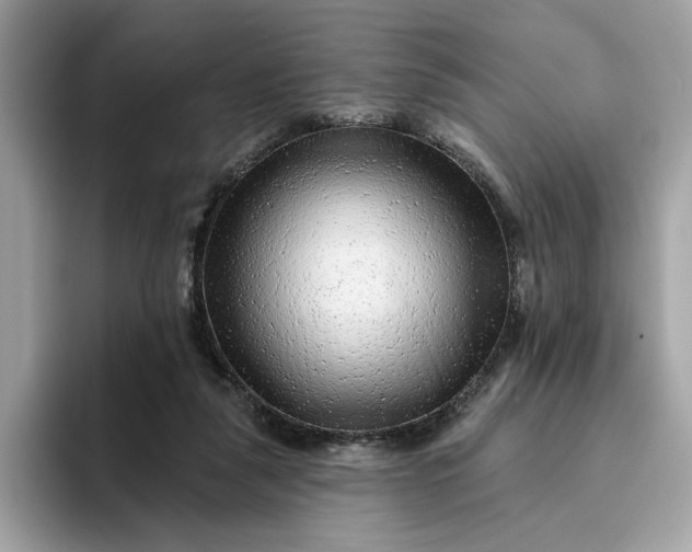 X0000094770259200711301532